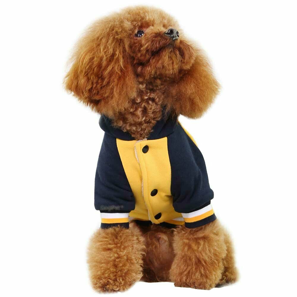 Yellow Baseball dog jacket for the winter 89 - GogiPet dog clothes