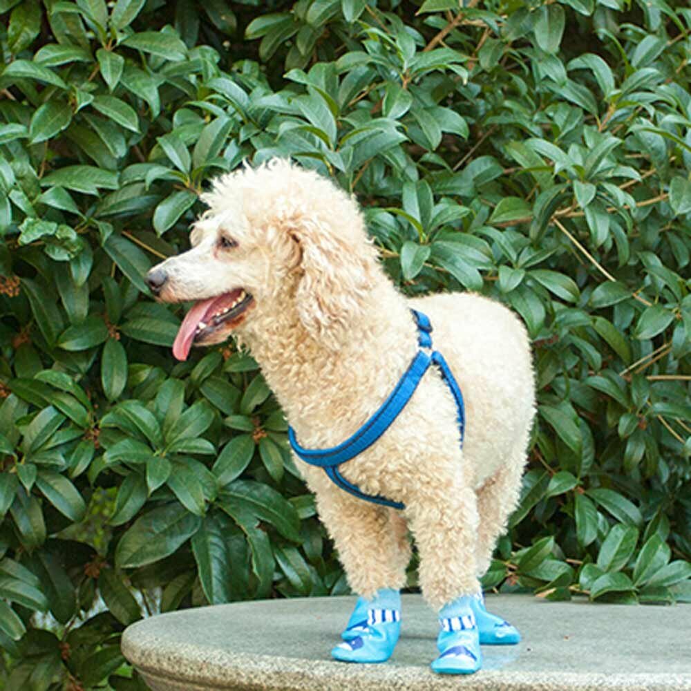 Very comfortable dog shoes with unrestricted freedom of movement