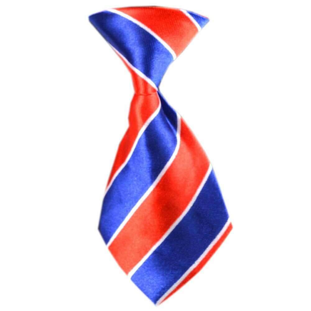Dog tie blue, red striped