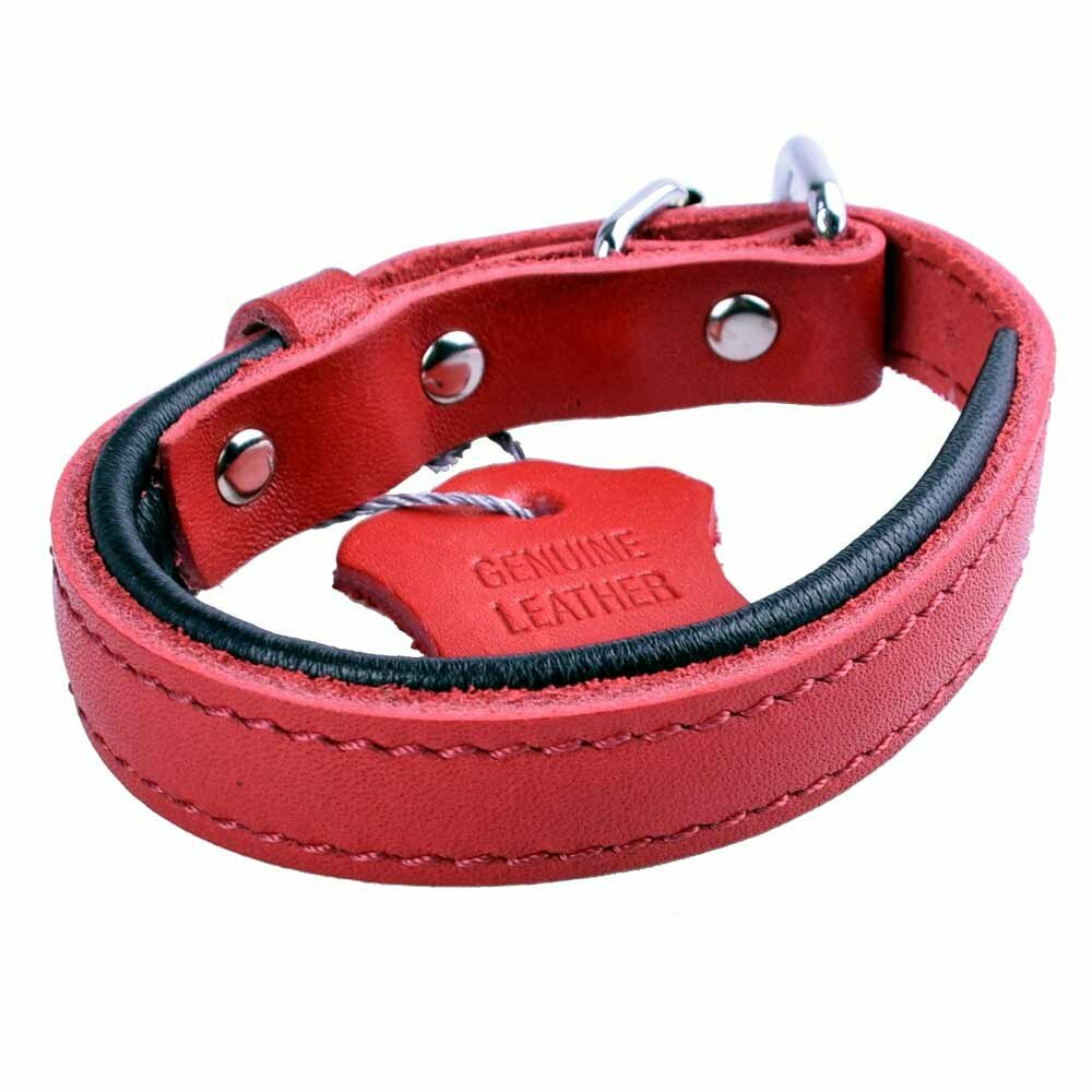 Genuine leather dog collar red from GogiPet
