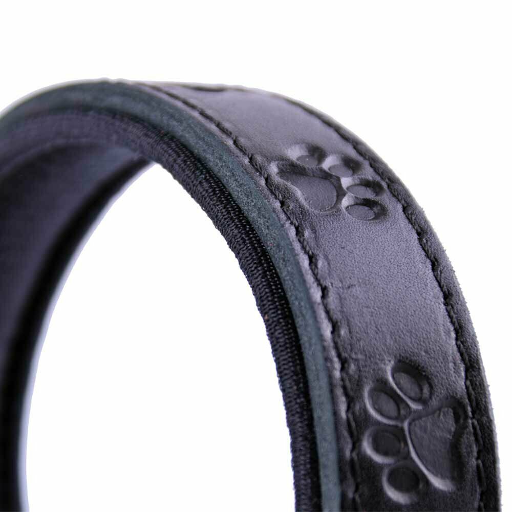 Soft padded, black dog collar with 3D paws