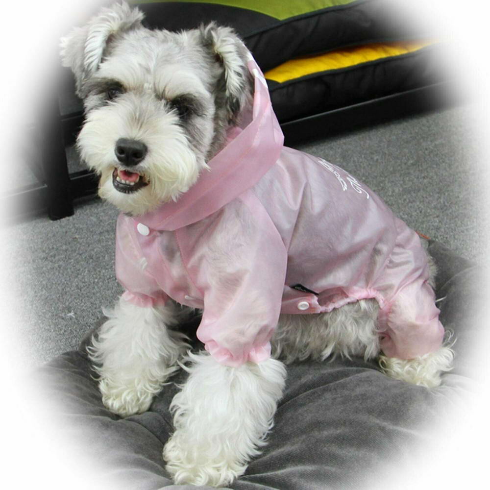 Raincoat for dogs Walking in the Rain Rosa