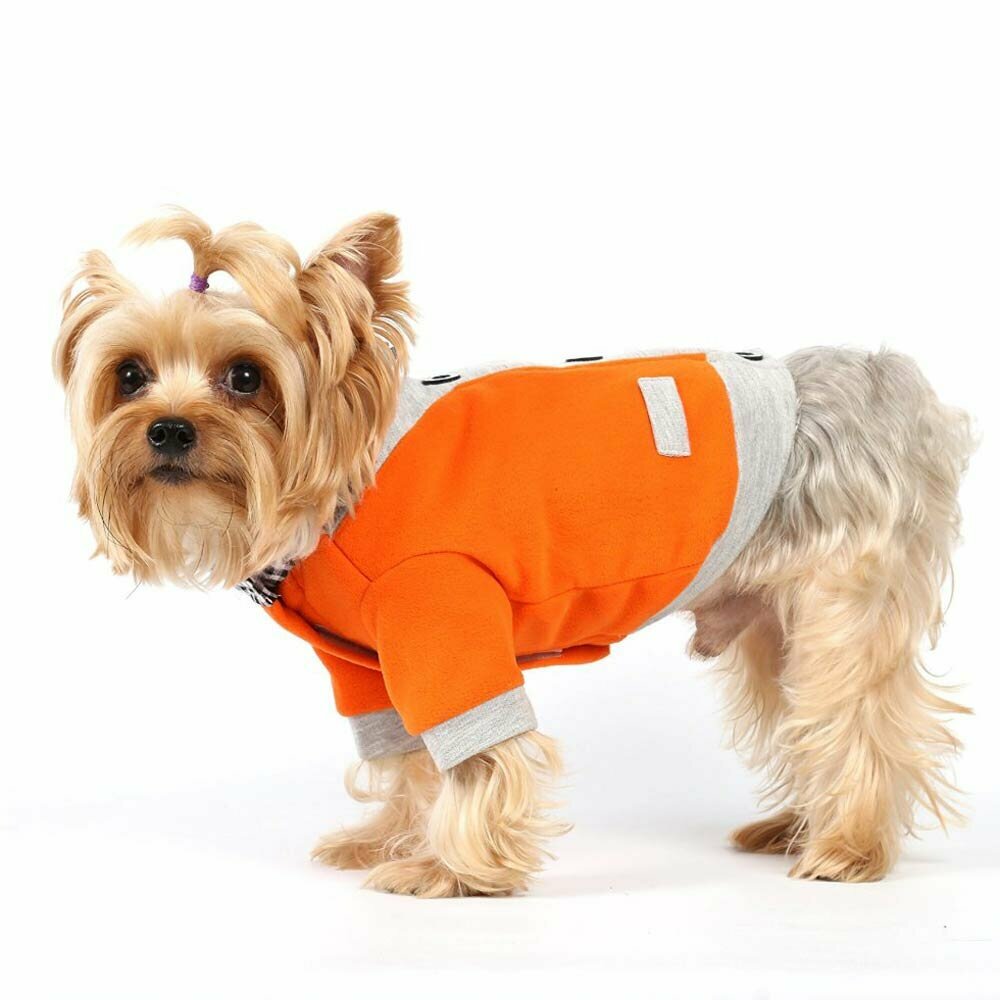 Beautiful orange suit for dogs by DoggyDolly