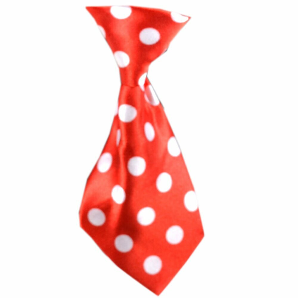 Dog tie red dotted