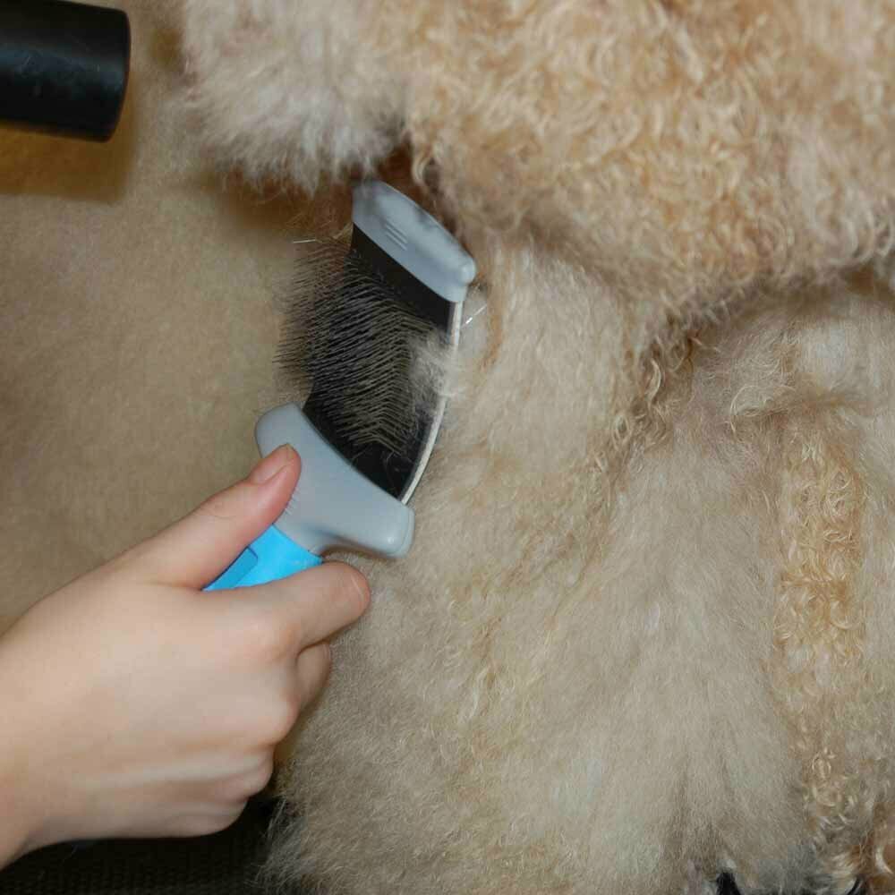 Perfect dog brush for dog care