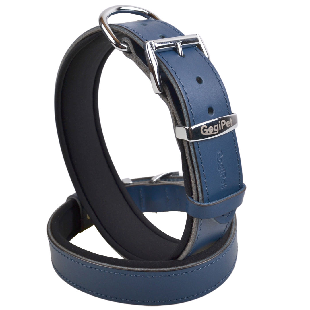 Blue comfort leather dog collar blue with soft padding