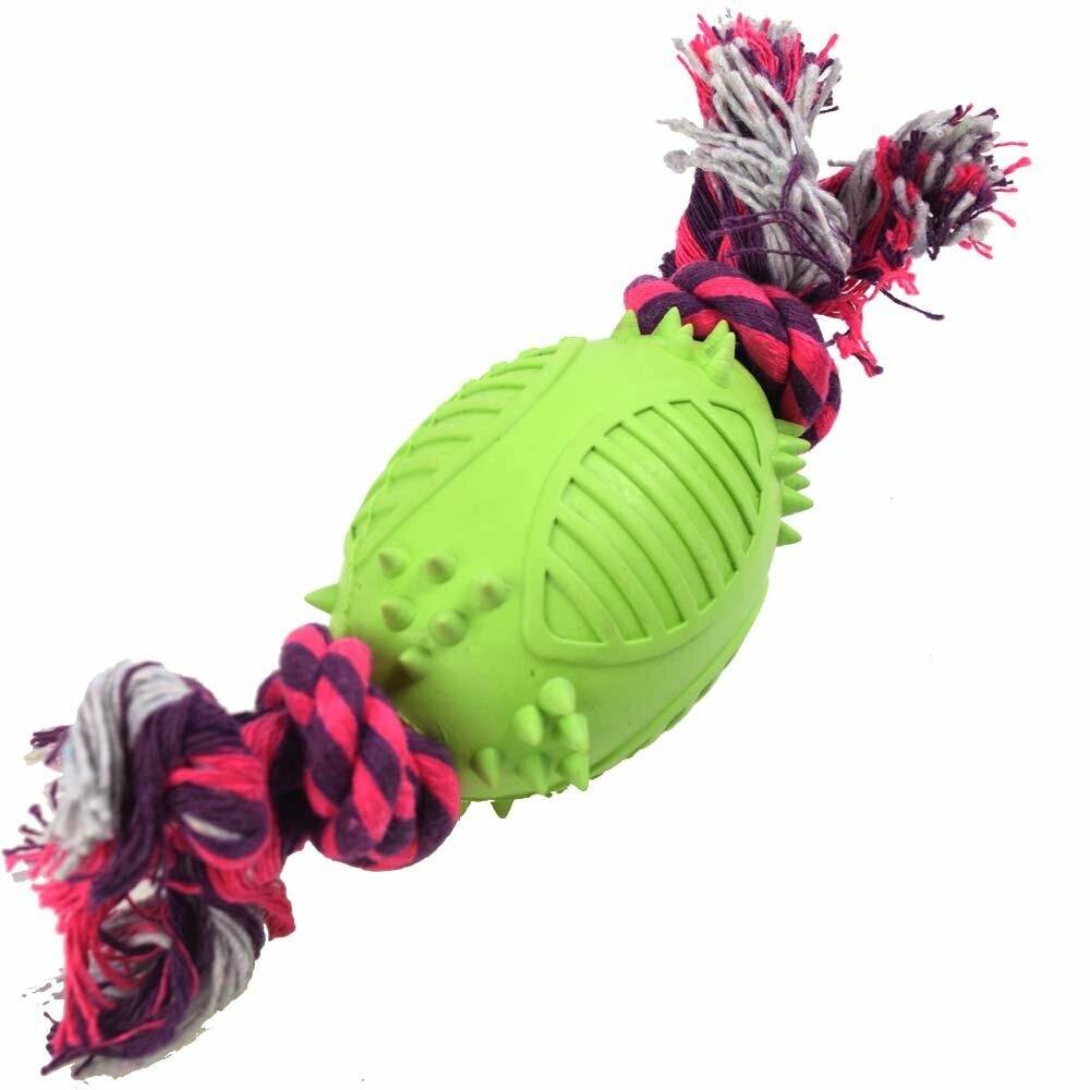 High quality GogiPet dog toy on solid rubber
