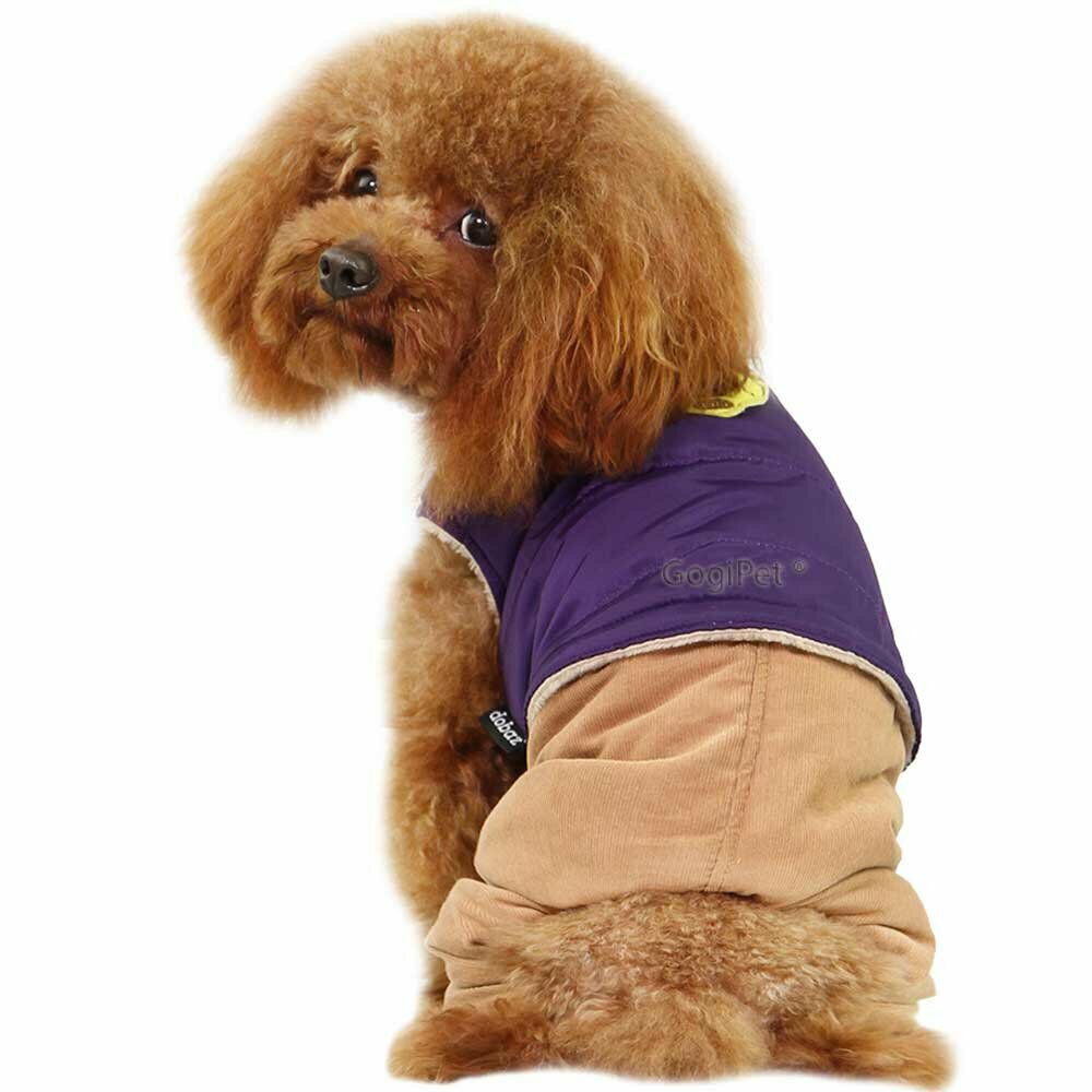 GogiPet ® dog garb for the winter - purple dog jacket with brown dog pants