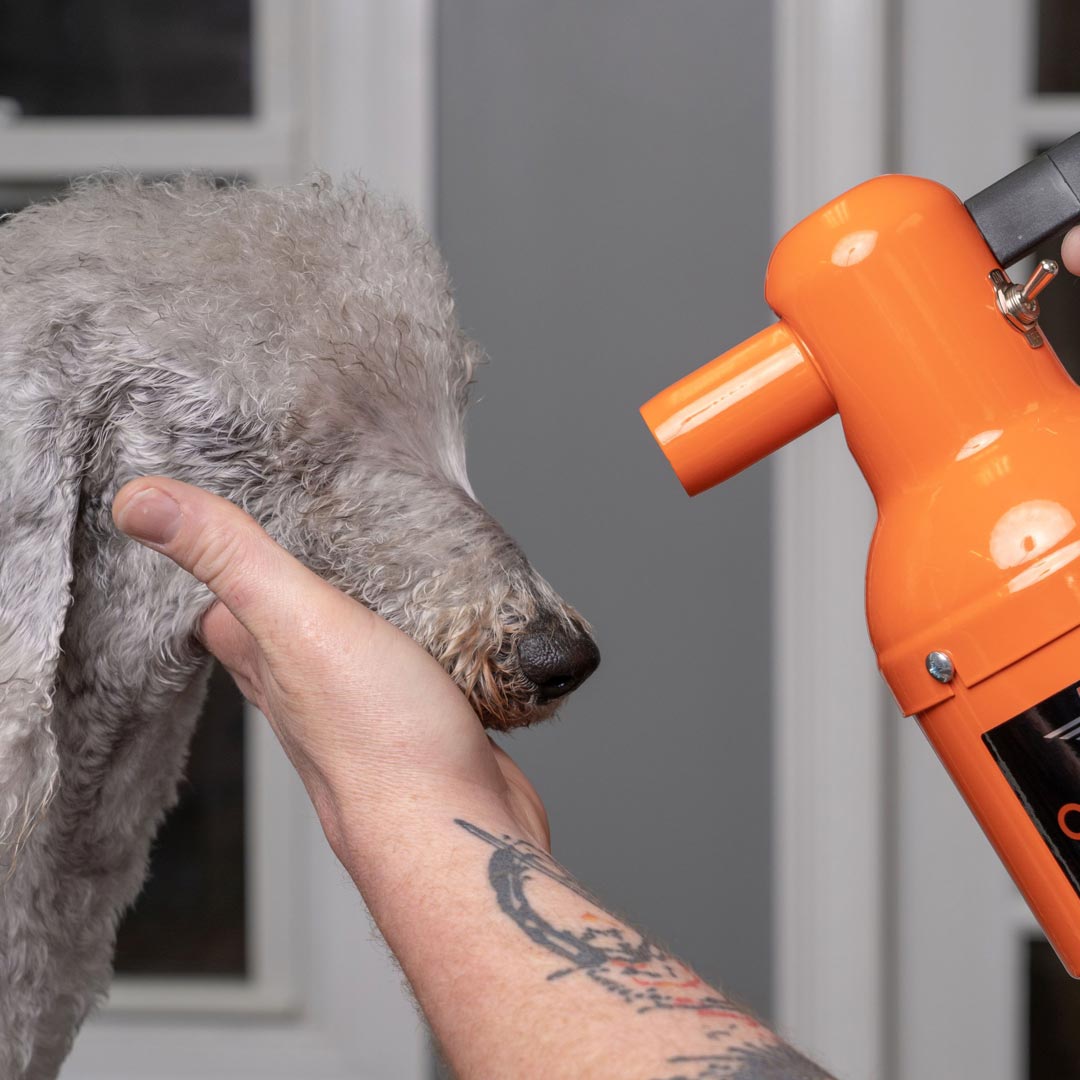 High performance dog dryer for pet owners
