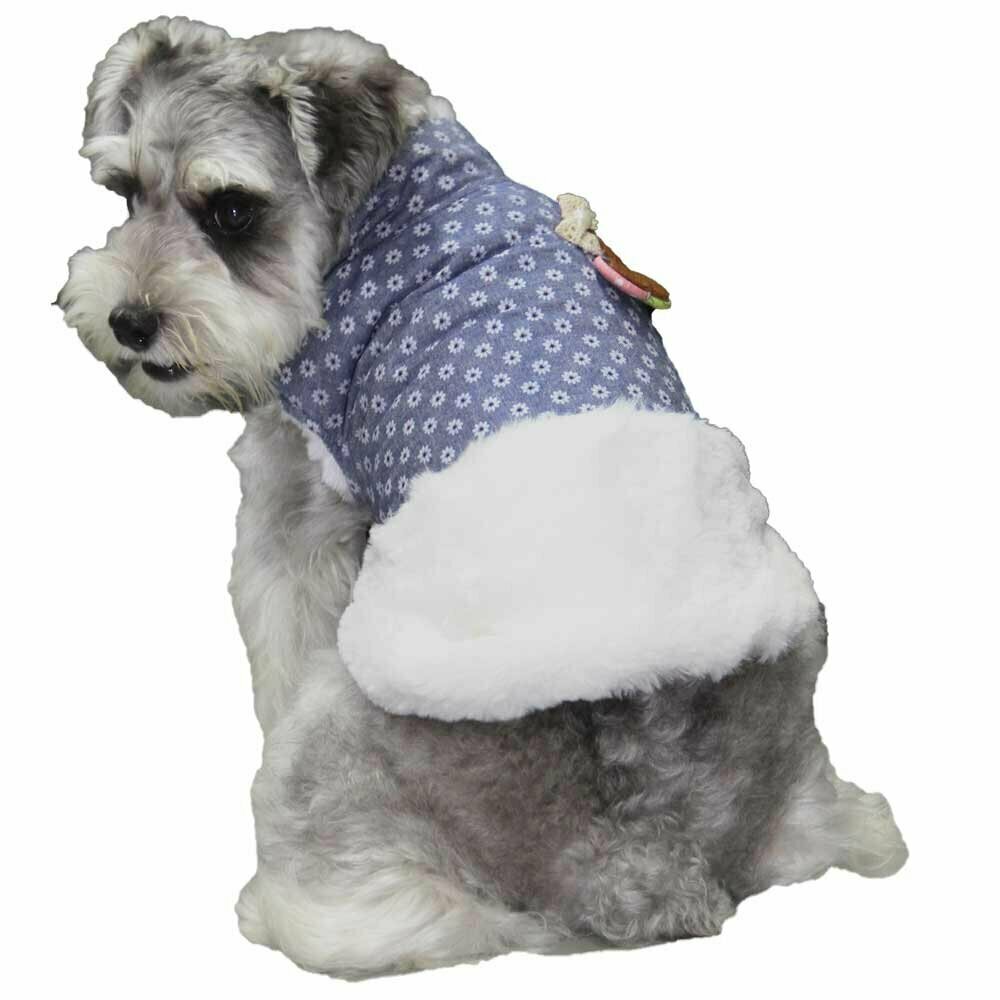 Very warm dog clothes from GogiPet at an affordable price