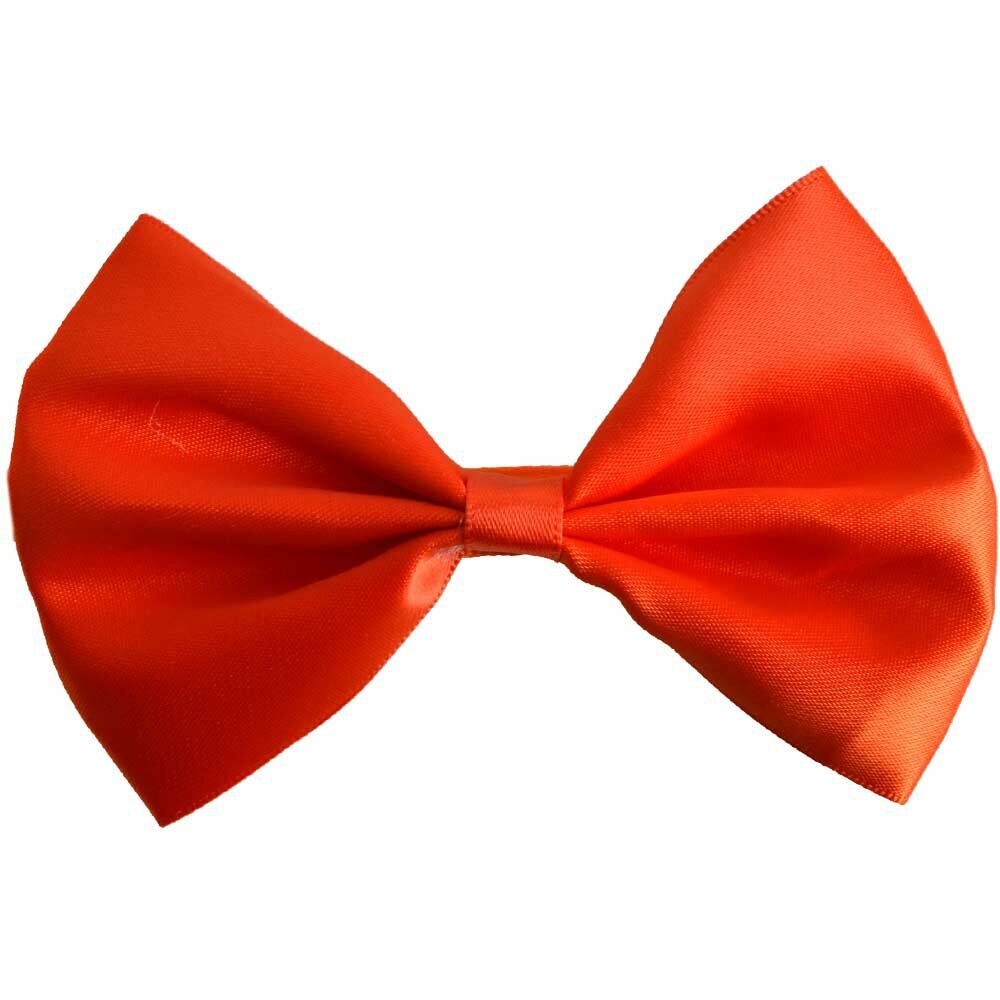 Orange bow tie for dogs by GogiPet®