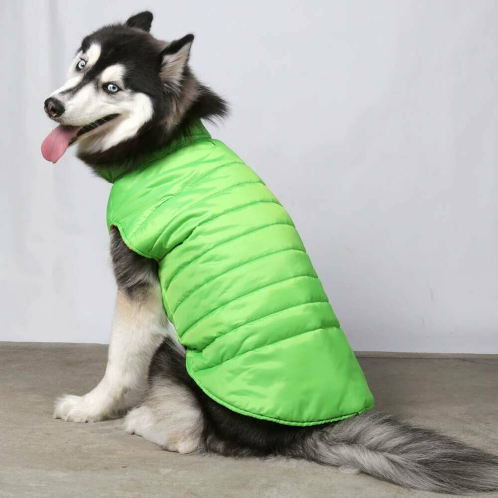 Warm dog anorak green - Big Dog