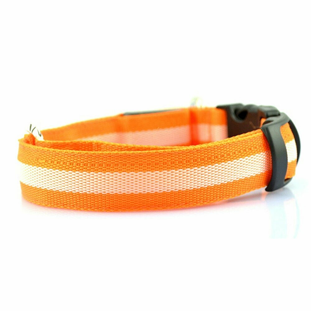 Collars that can glow in the dark - Flash collars of GogiPet orange