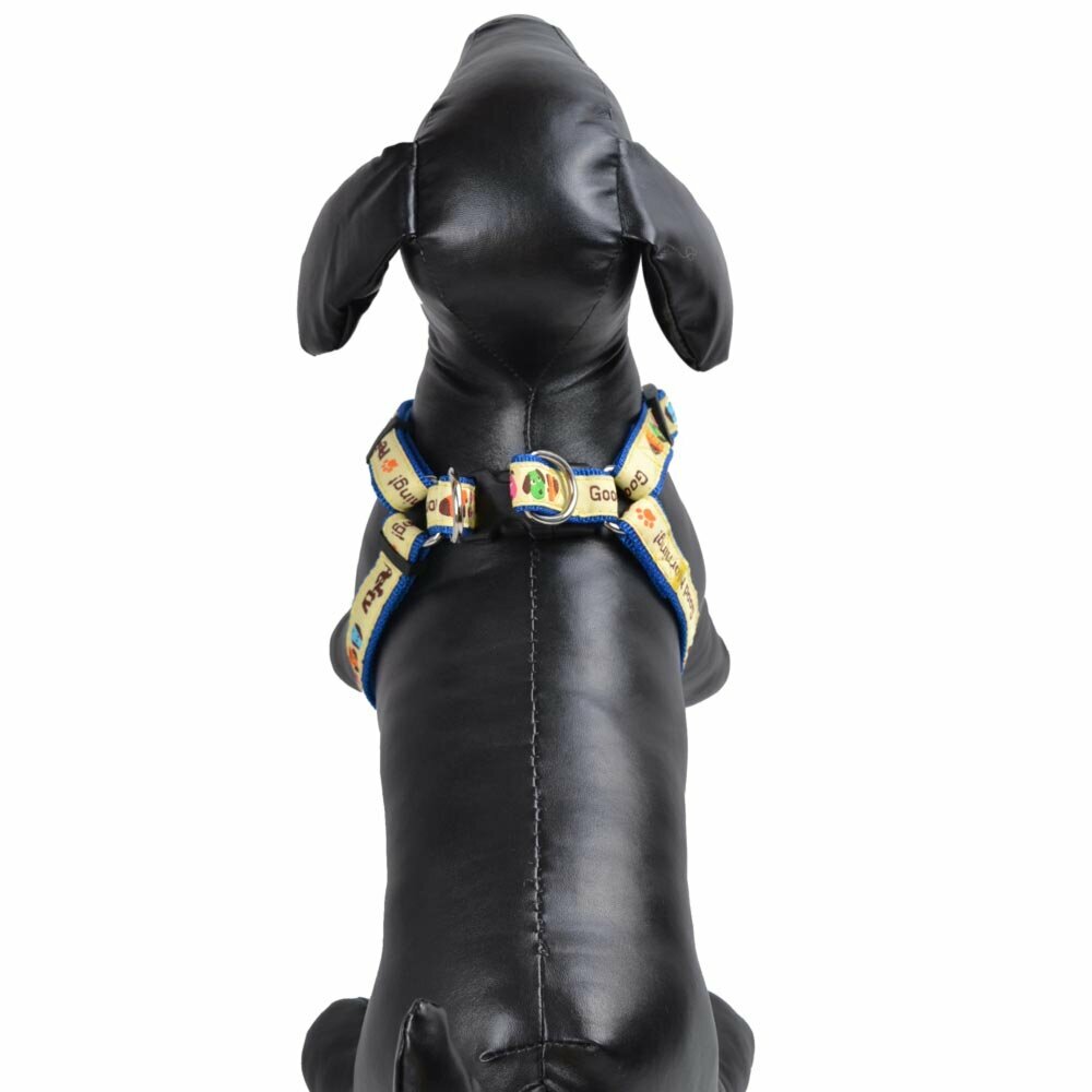 Harness for dogs blue M