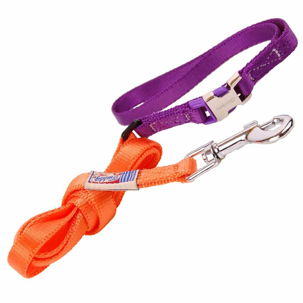 High quality dog collar with free dog leash orange