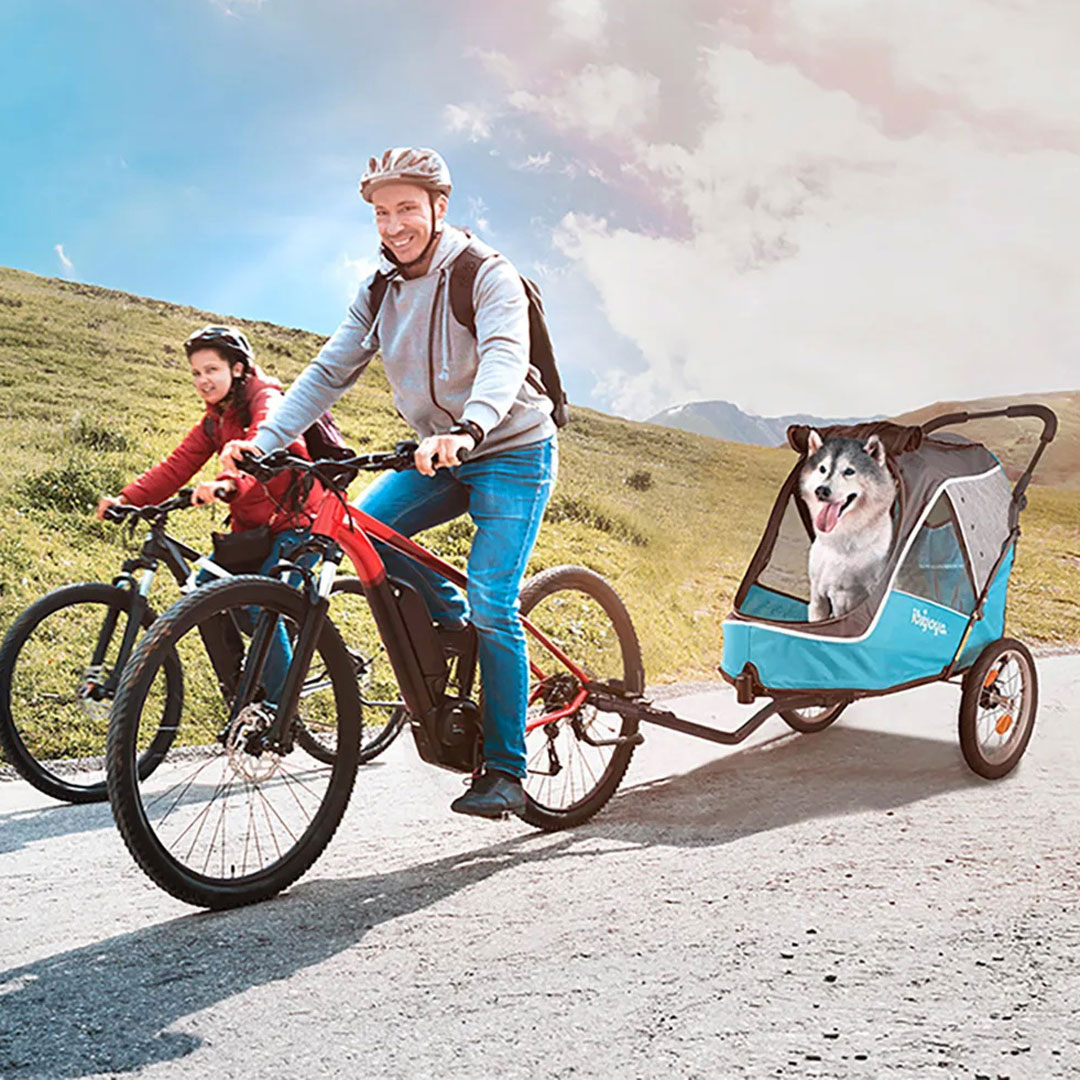Dog bike carrier for medium-sized dogs