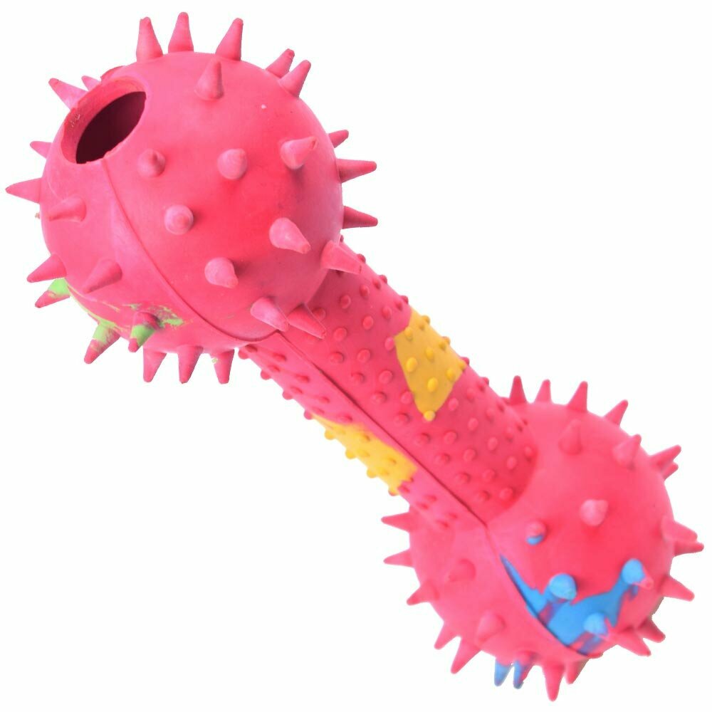 Cool dog toy for cleaning the teeth
