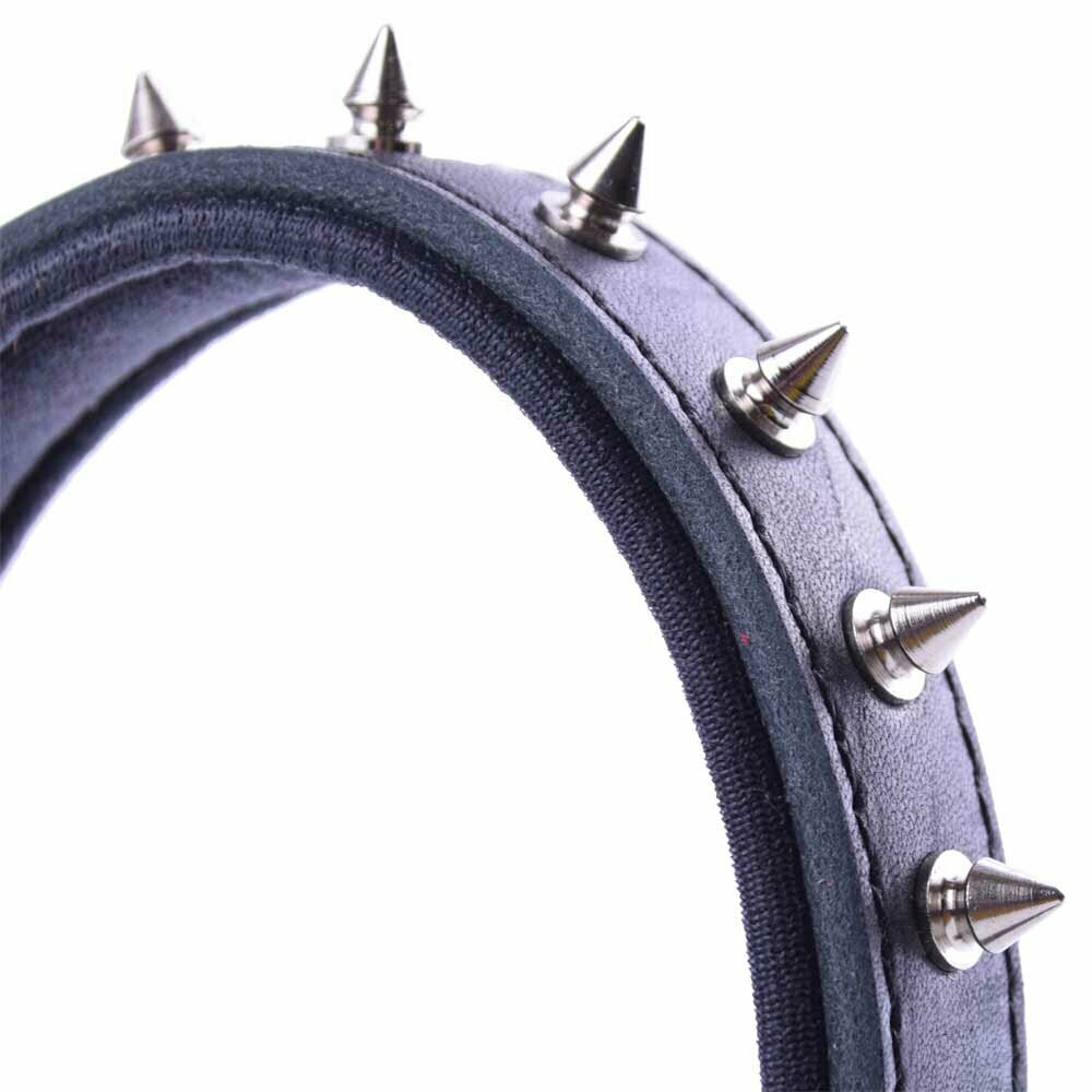 Black genuine leather dog collar with flattened pointed rivets with soft padding