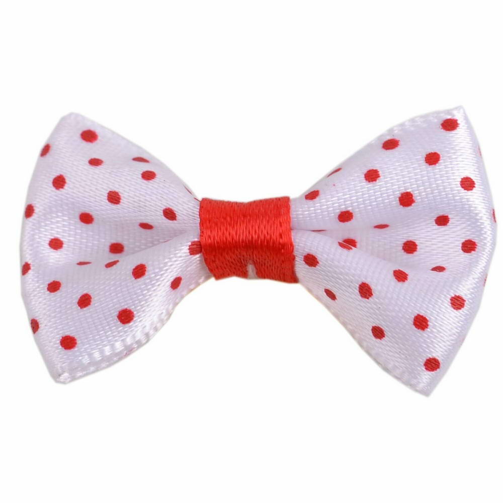 Handmade dog bow white with polka dots by GogiPet