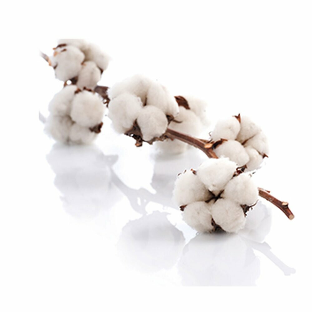 High quality cotton blend especially for dogs
