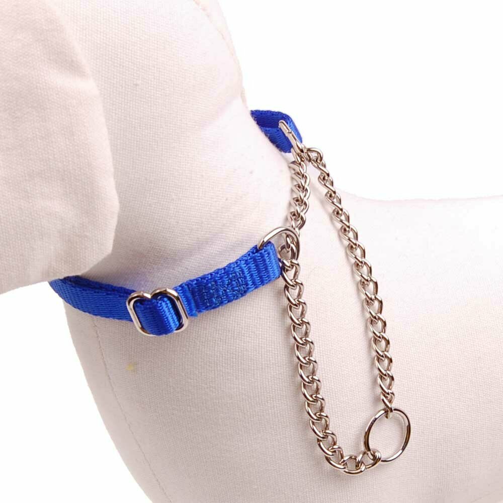 blue dog martingale collar Nylon