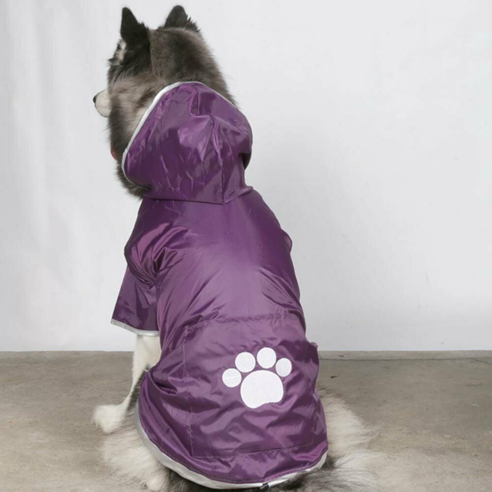 Purple dog raincoat - DoggyDolly BD122