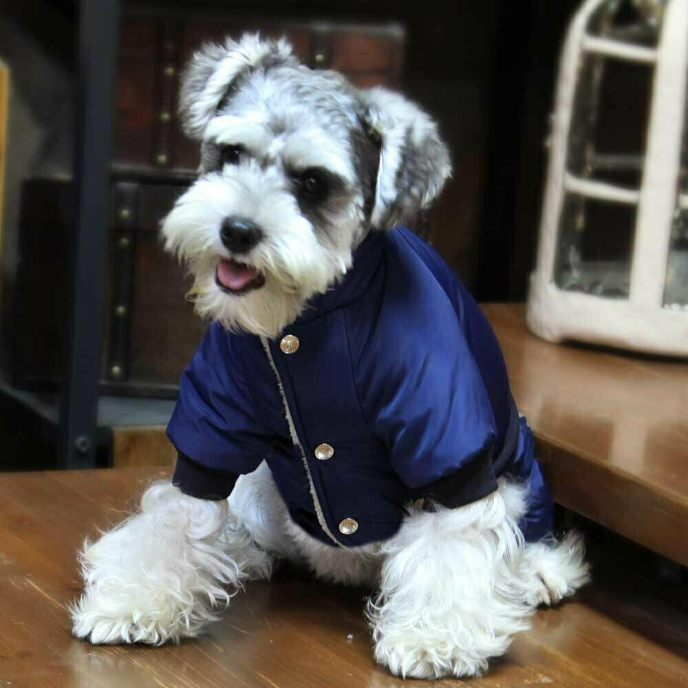 Warm dog snow suit Air Force blue