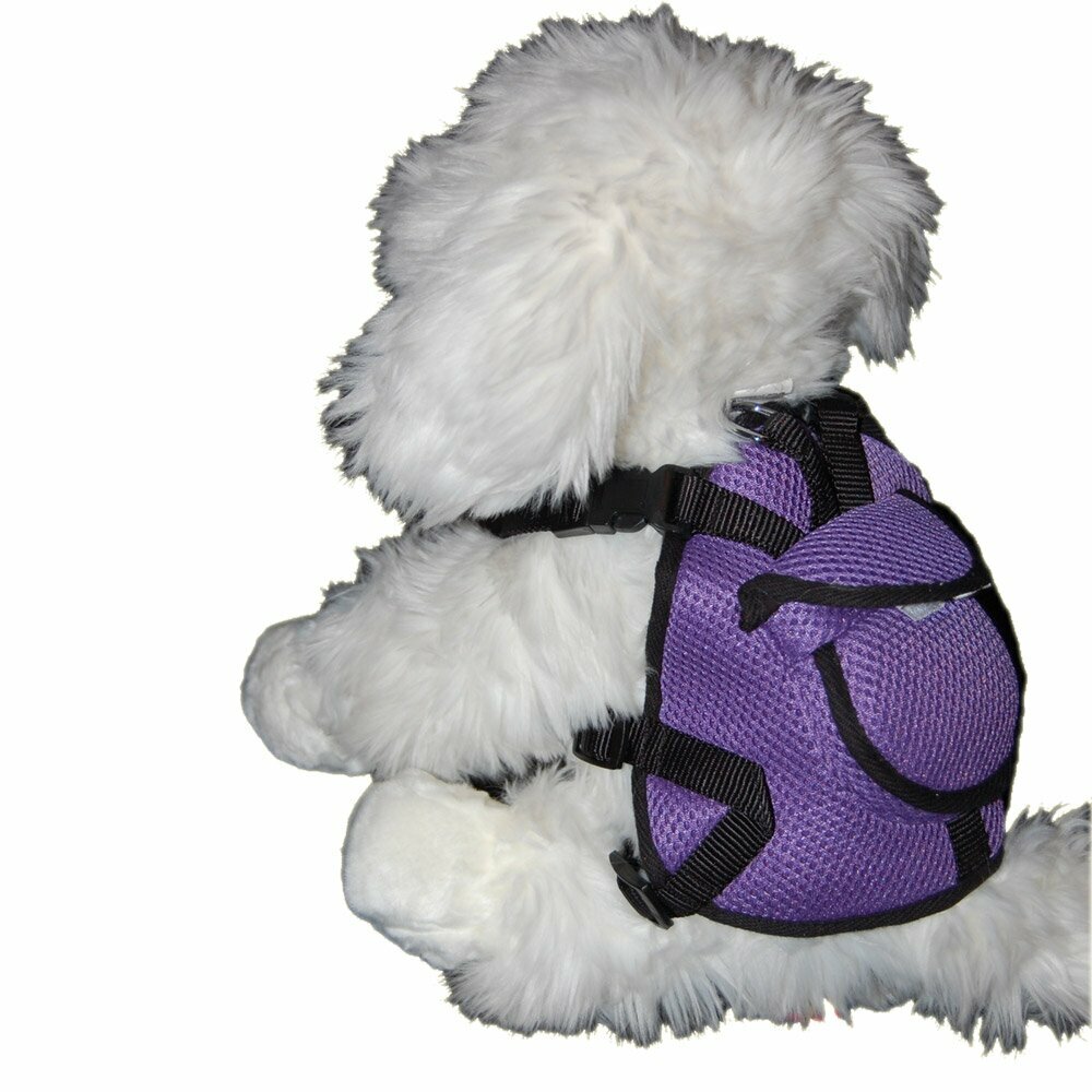 Purple Harness for Dogs by GogiPet ® incl Dog Leash