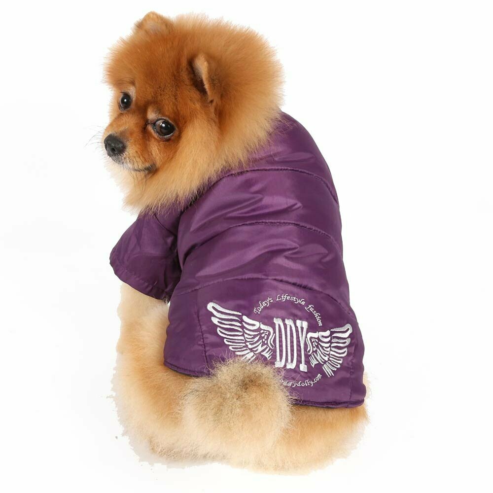 Warm dog clothes for the cold winter - warm dog garment anorak