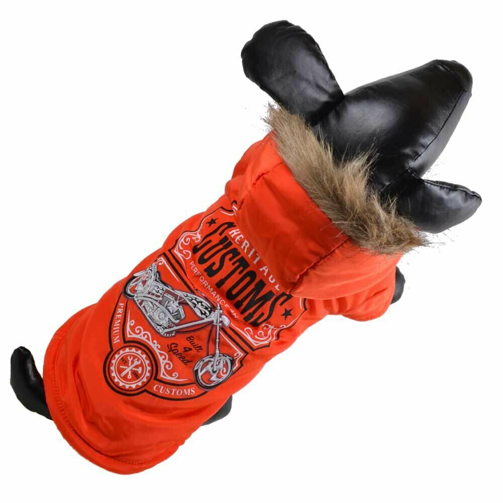 Warm anorak for dogs - dog clothes orange