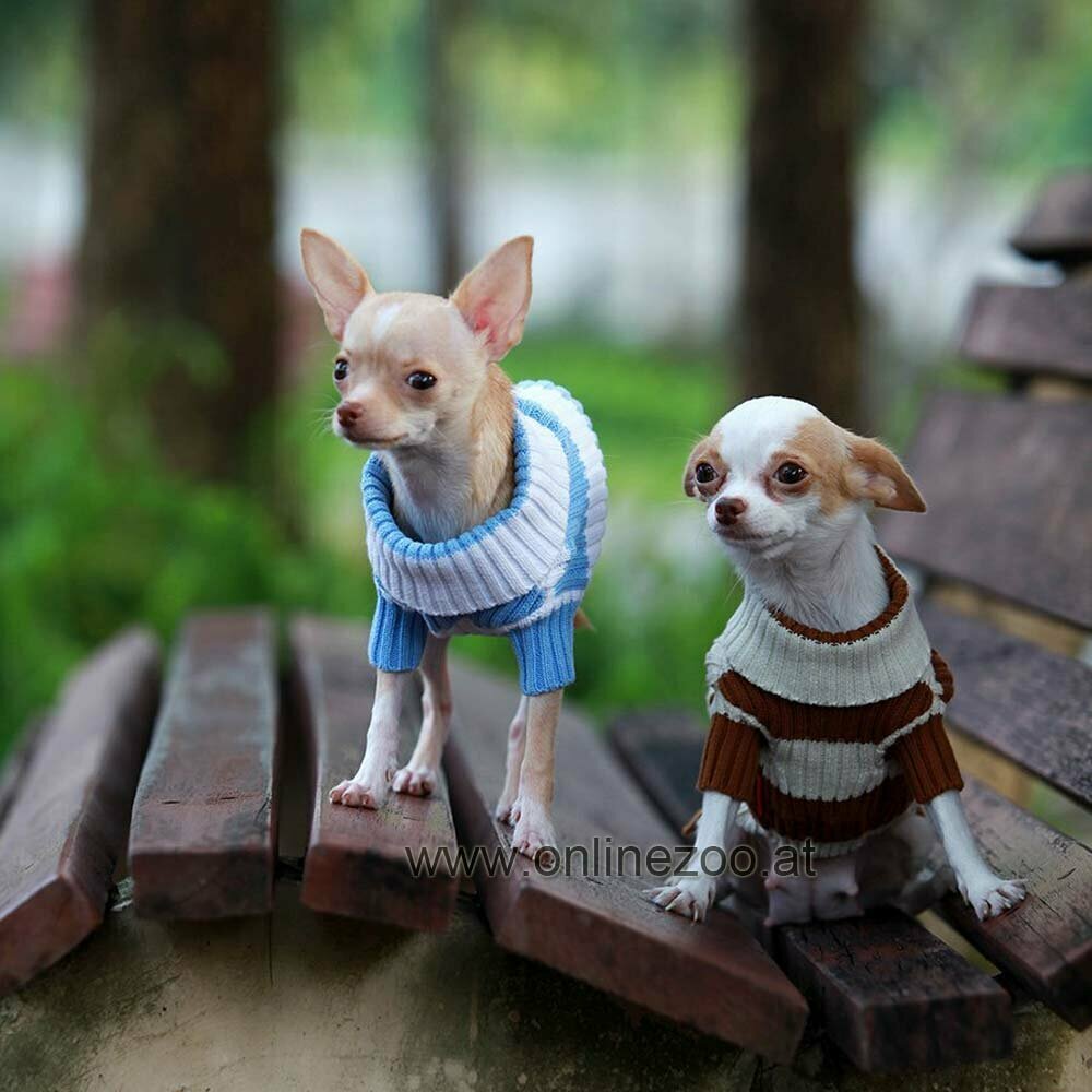 warm dog sweater striped - knit sweater