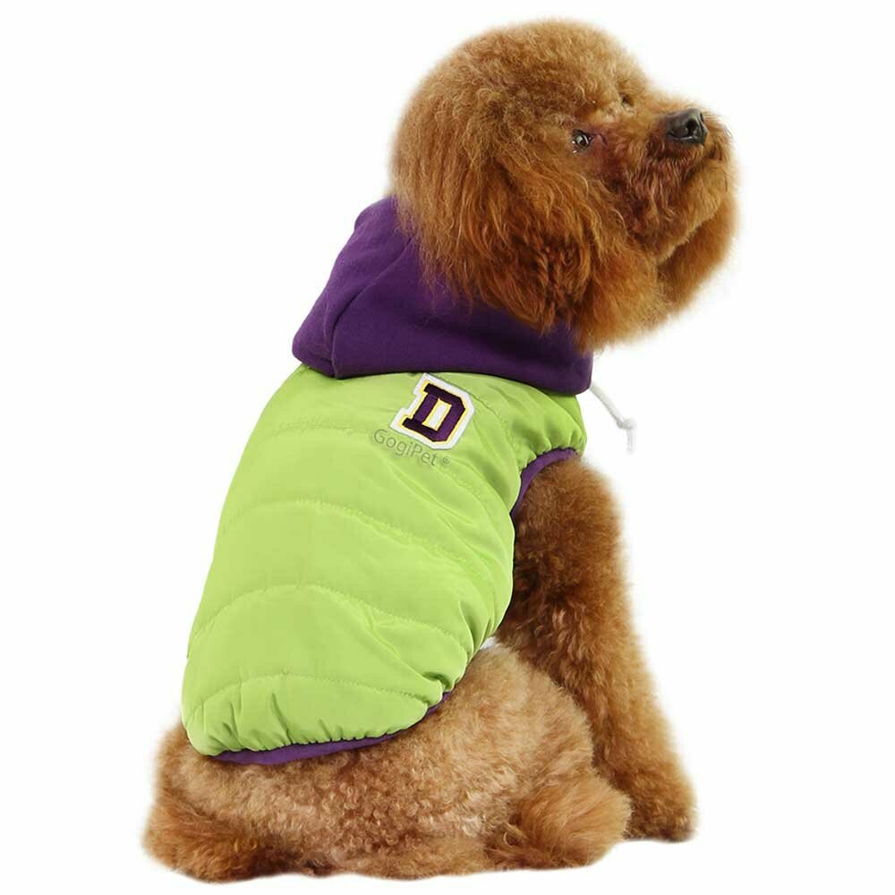 Warm dog clothing for the winter green from GogiPet ®