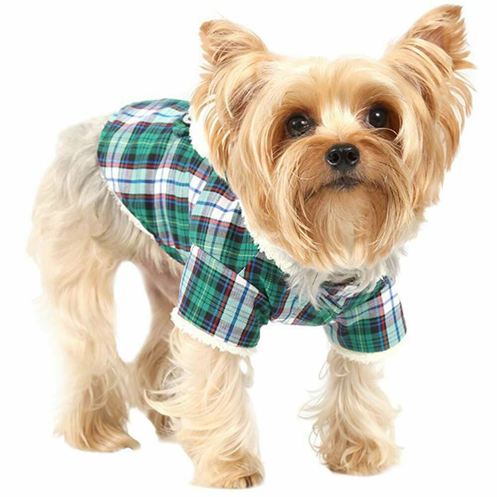 Plaid dog coat with hood with ears