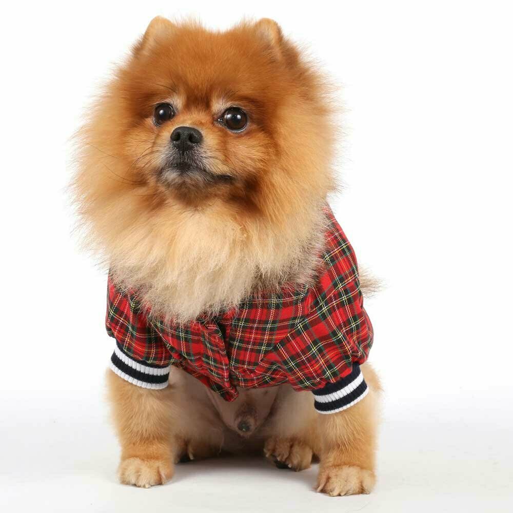 Warm dog robe by DoggyDolly checkered red