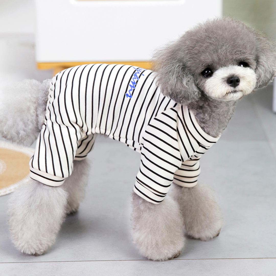 Sporty white leggings for dogs with black stripes