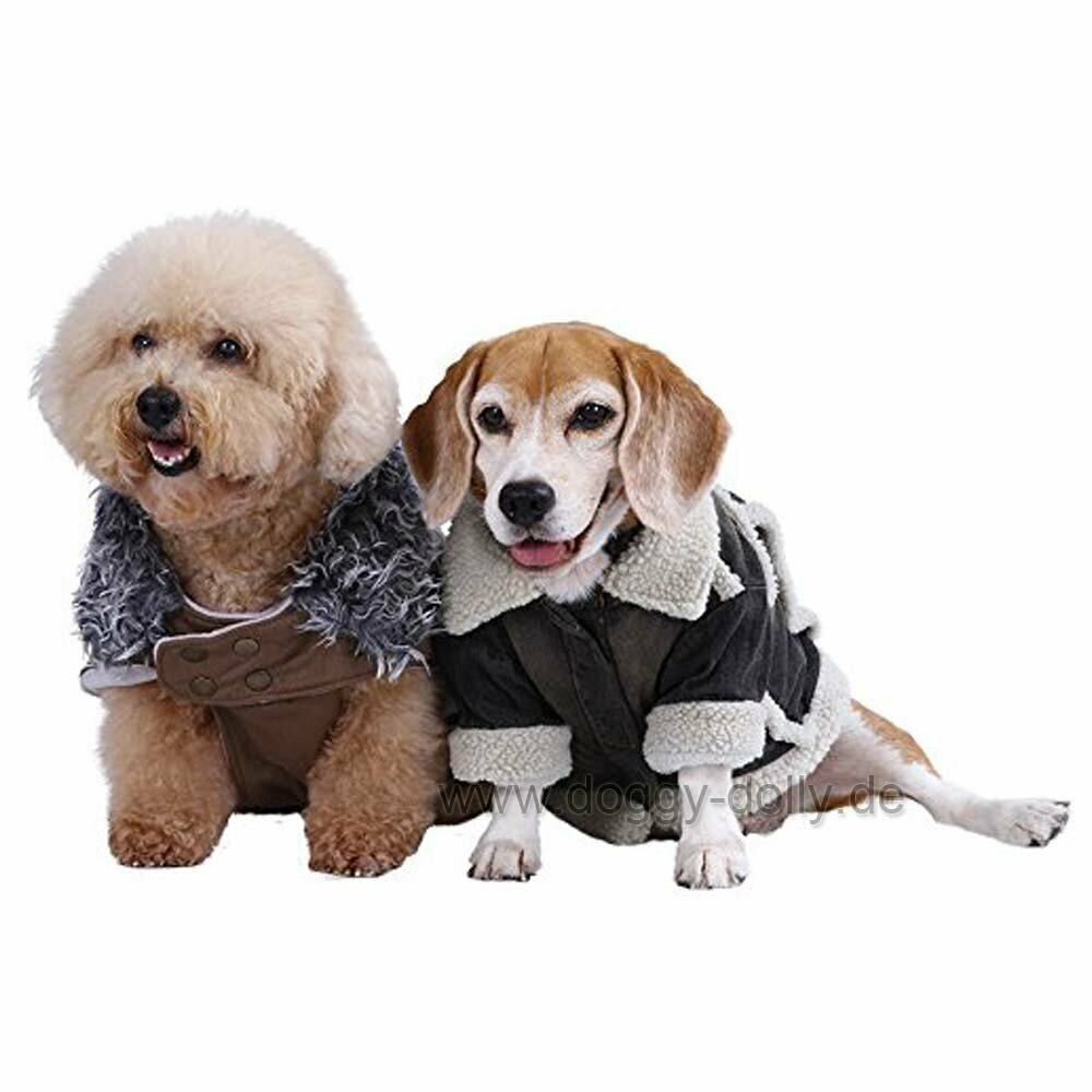 Warm dog jackets and wrem dog coat of DoggyDolly