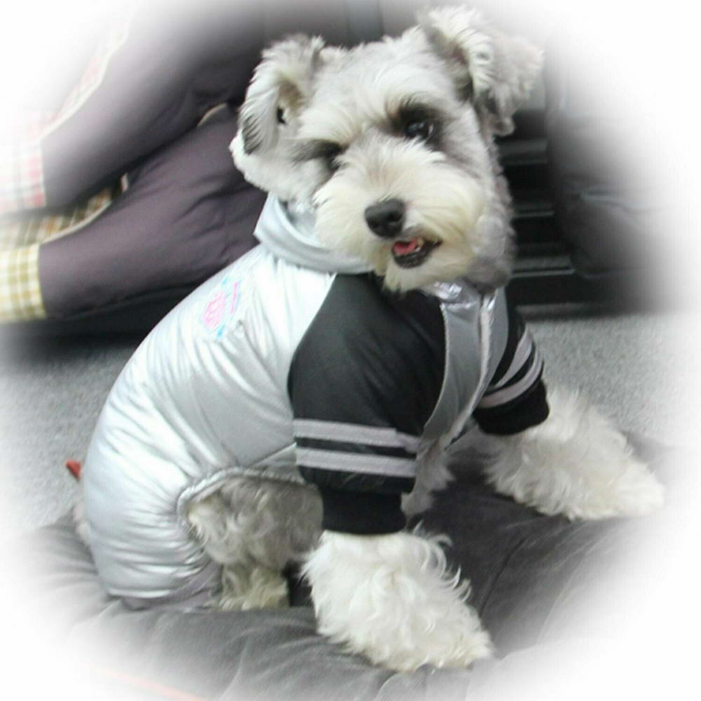 Wamer coat for dogs by GogiPet