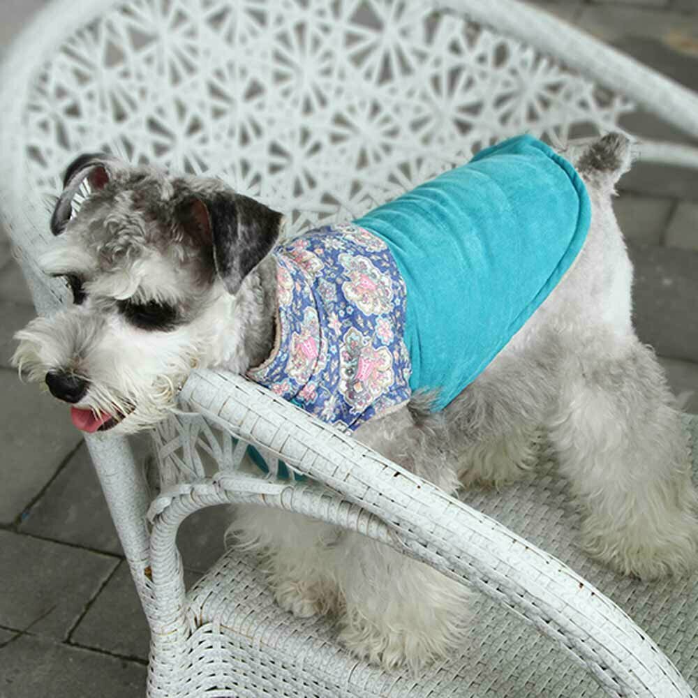 Warm dog jacket light blue