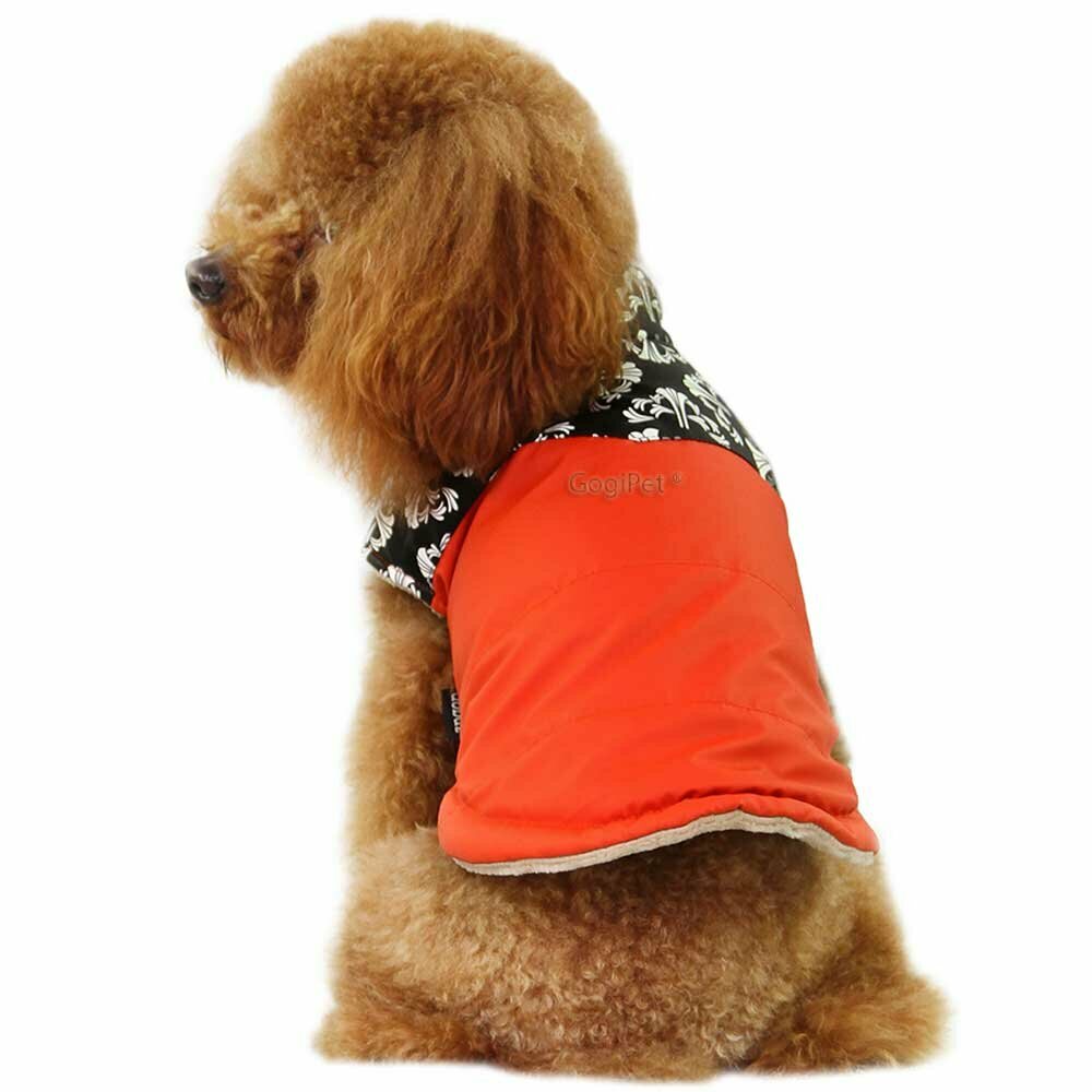 dog clothes for winter dog coat Nancy orange