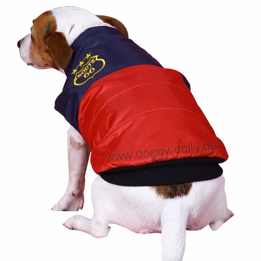 warm dog clothing - red blue anorak for dogs of DoggyDolly W049 