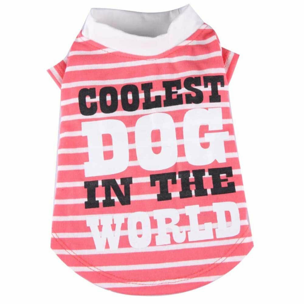 Dog shirt orange for big dogs by DoggyDolly BD214 - Dog clothing Coolest dog in the world