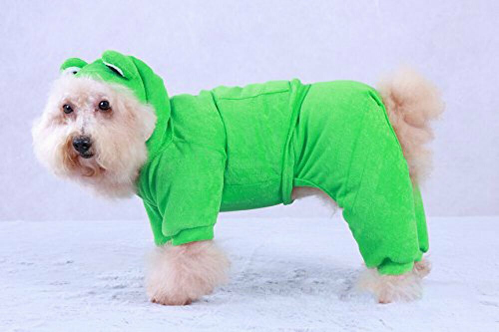 Dog Costume - Green Frog