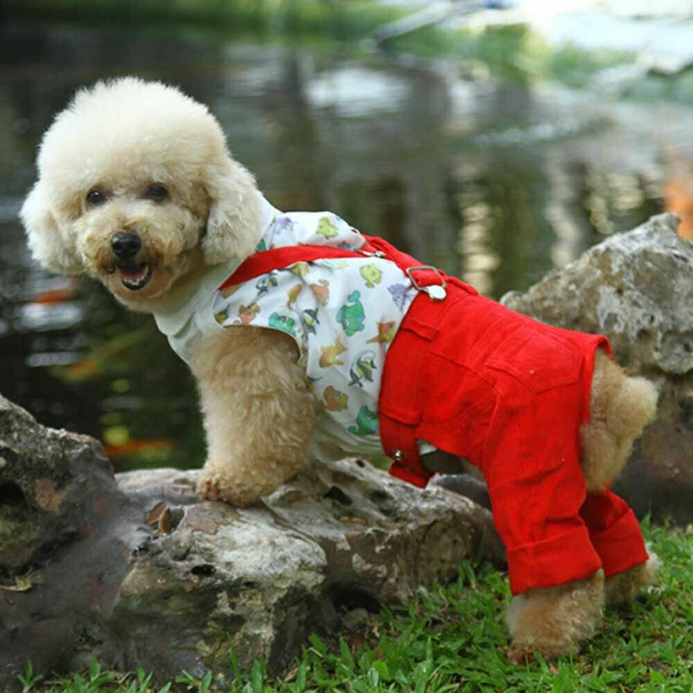 Dog clothing - red corduroy dog trousers