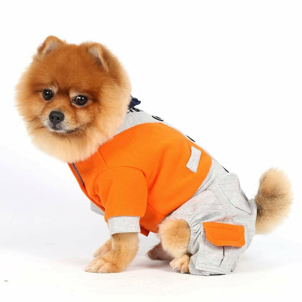 Beautiful warm dog coat - hot for dogs robe by Onlinezoo