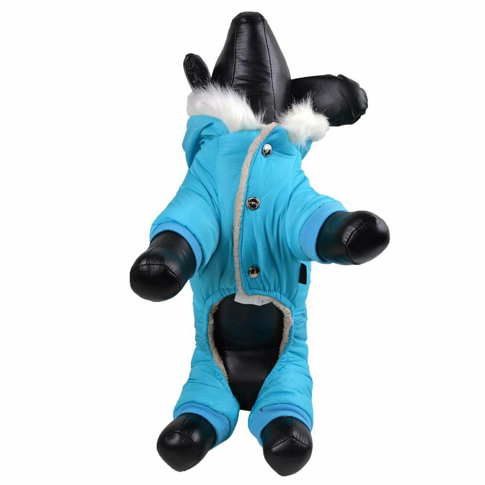 Air Force dog coat in light blue