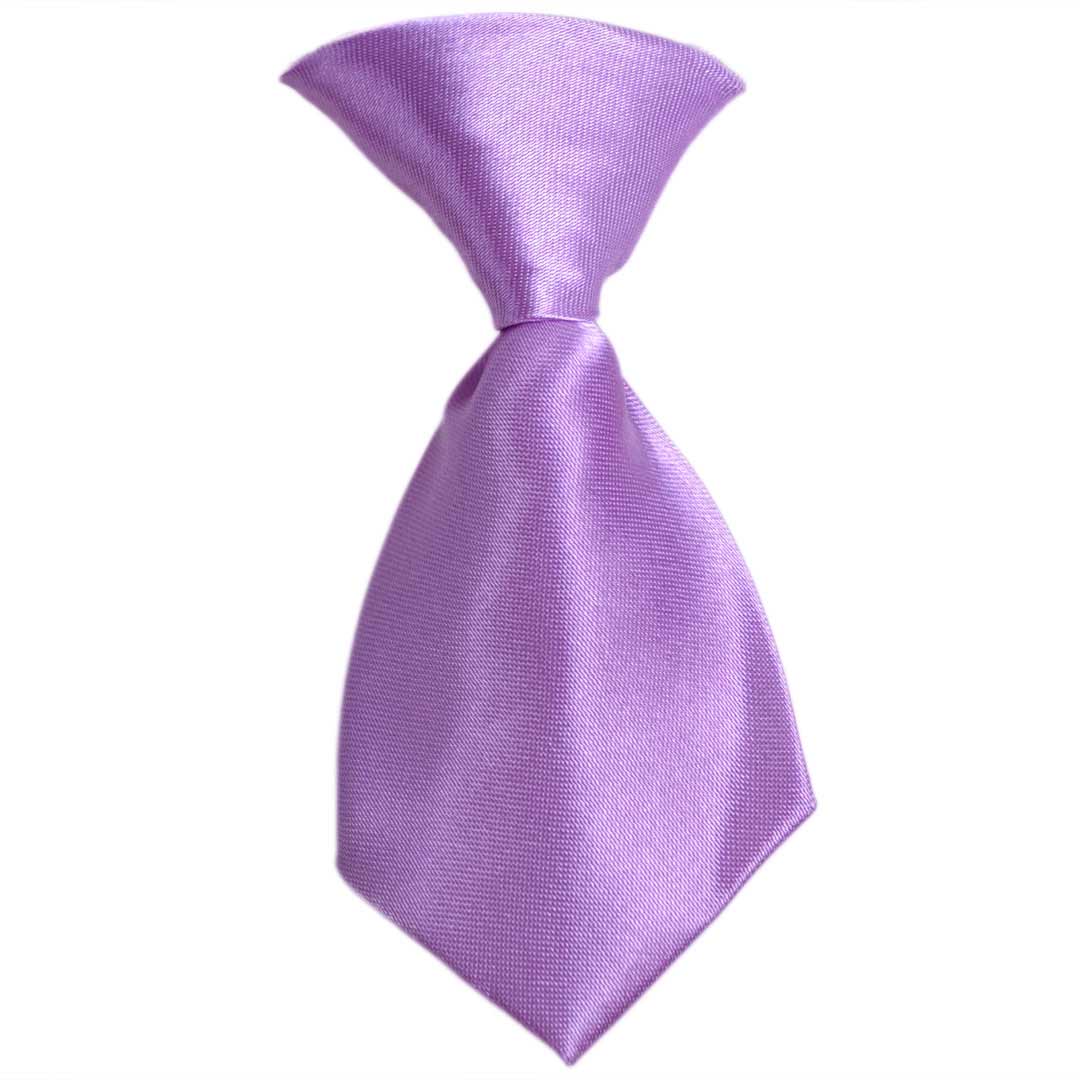 Purple Self-Tie Briefs for Dogs