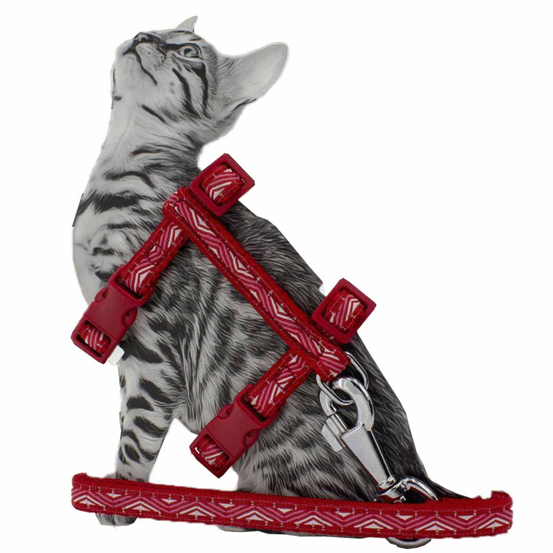 Red GogiPet cat harness with leash