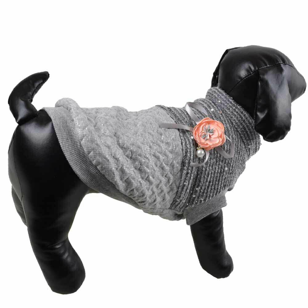 Sweet dog coat gray for the winter