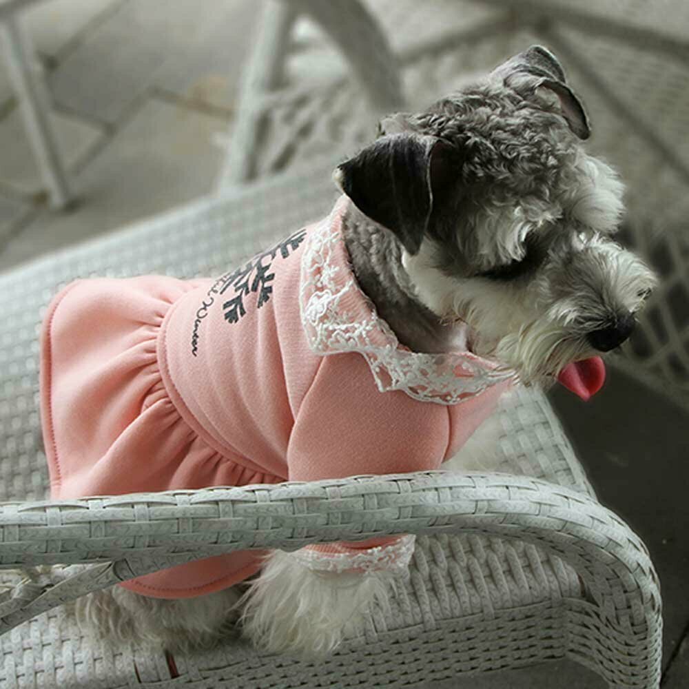Winter dress for dogs pink