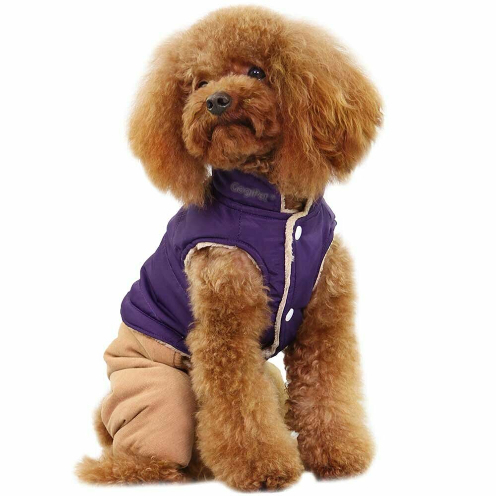 GogiPet® dog overall - Warm dog garb for winter purple